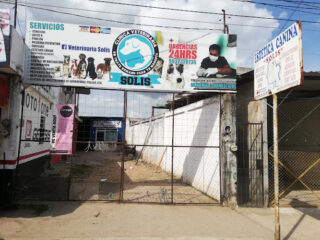 Clínica Veterinaria Solis