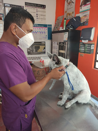 Clinica Veterinaria Patitas y Huellas