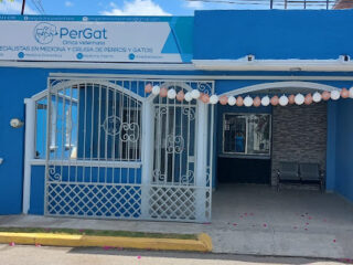 Veterinaria Pergat