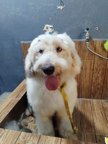 Clínica Veterinaria OSVET