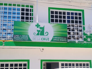 Consultorio Veterinario de la Cruz