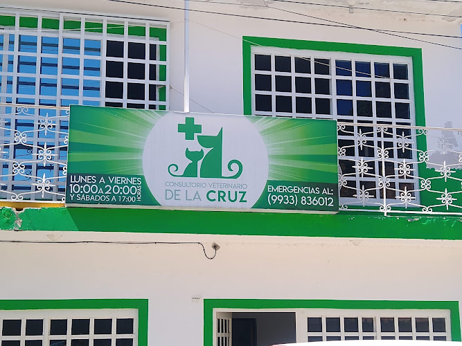 Consultorio Veterinario de la Cruz