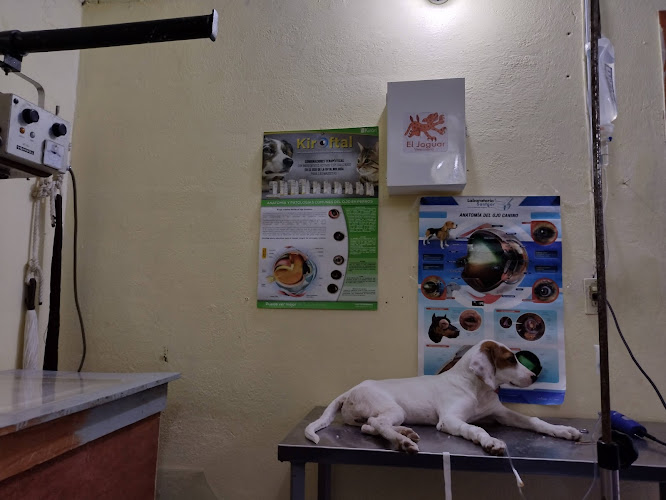 Farmacia y Clinica Veterinaria El Jaguar