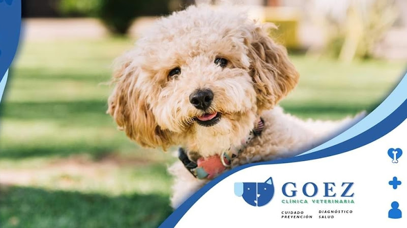 Veterinaria Goez