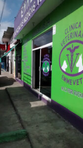 CLÍNICA VETERINARIA EMMEVET