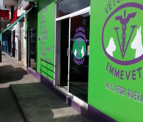 CLÍNICA VETERINARIA EMMEVET