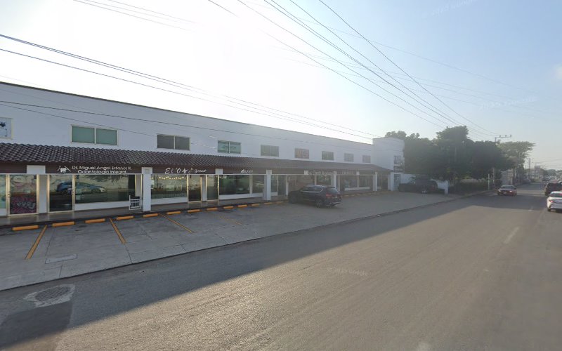 Dr. Miguel A. Estañol Ruiz Odontología Integral