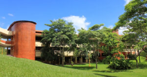 Universidad Olmeca