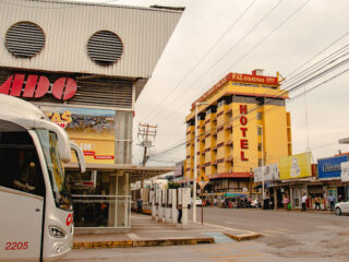 Hotel Palomino Palace