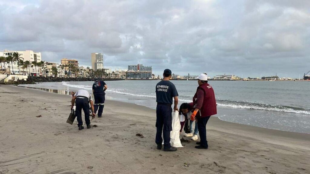 “Derrame de hidrocarburo en el Golfo se le está haciendo frente”: PVEM