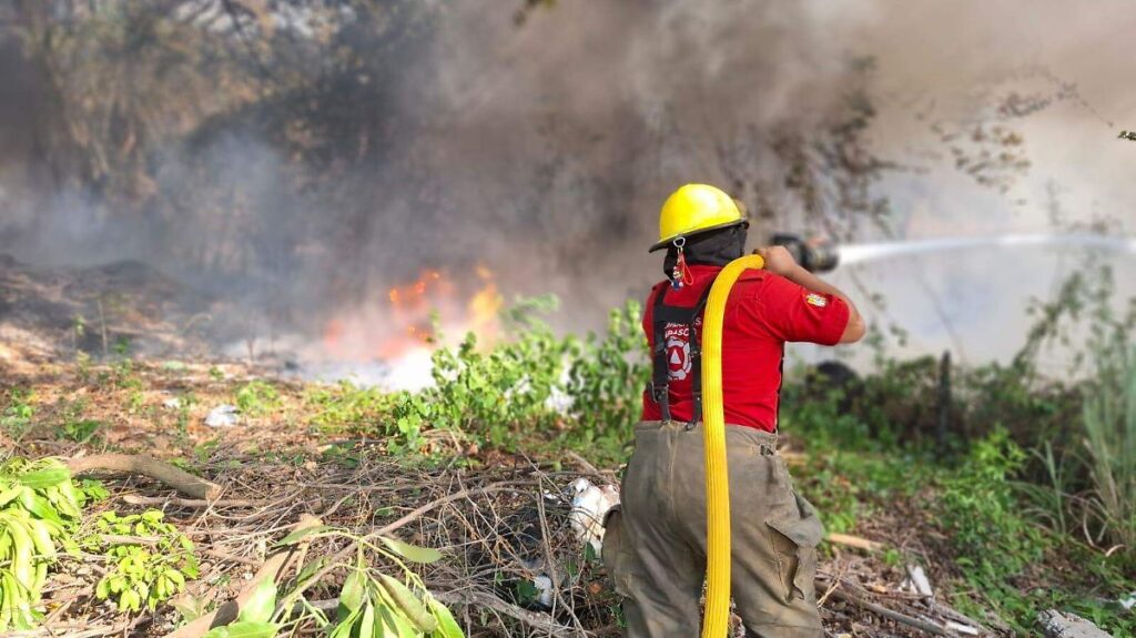 De 10 mil a 800 hectáreas: Lluvias disminuyen daños por incendios en Tabasco