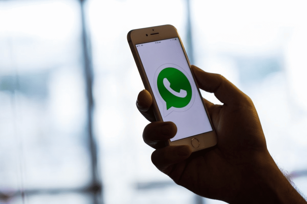 El “vampiro” de memoria: Cómo detener el ajuste de WhatsApp que agota tu almacenamiento