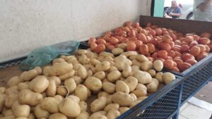 Suben precios de tomate y papa en Tabasco tras índice inflacionario