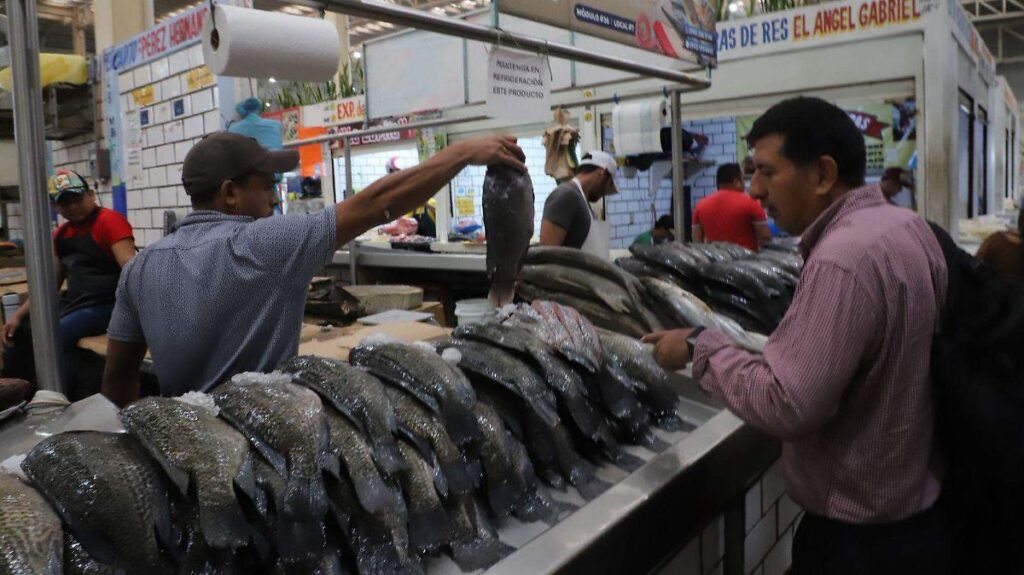 Señales para detectar pescado y mariscos frescos al comprarlos