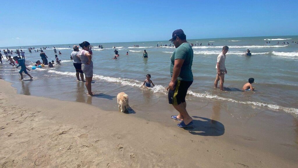 Oso y Donnie llegaron de vacaciones a playa Pico de Oro