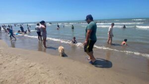 Oso y Donnie llegaron de vacaciones a playa Pico de Oro