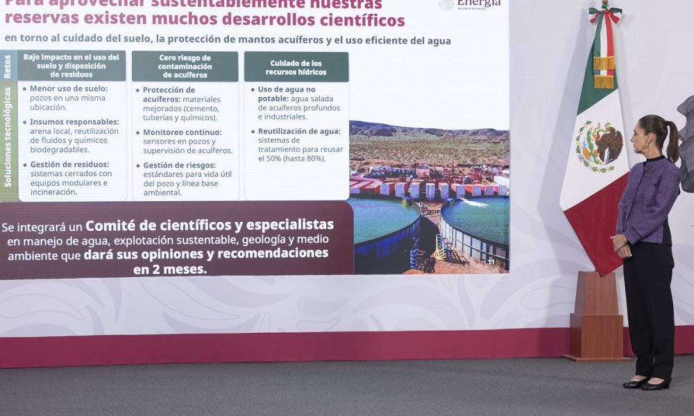 Comité científico evaluará gas no convencional sin dañar al ambiente