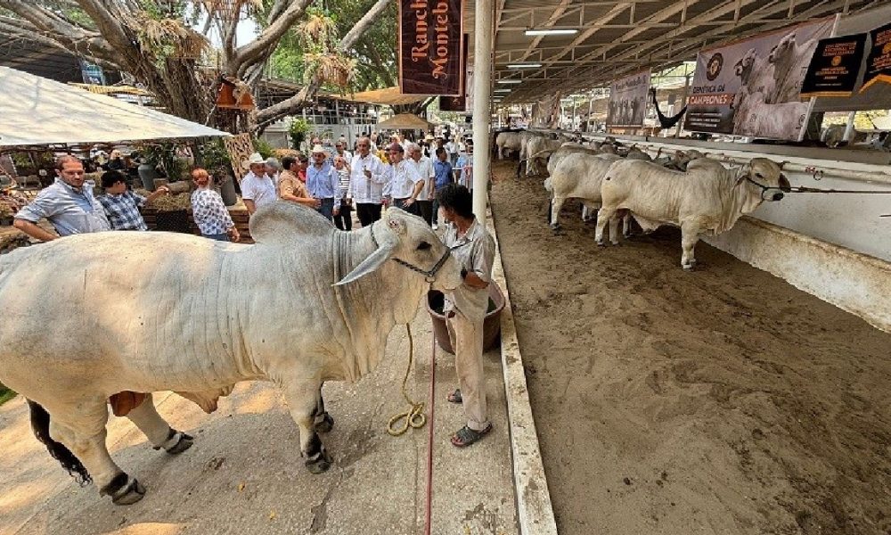 Feria Tabasco 2026 impulsa ganadería y campo con 158 expositores