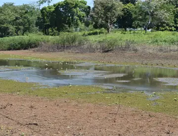 Destaca alcaldesa de Centro operativo para construcción de Jagüeyes en Aztlán 3ra.