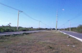 Renta Terreno Mérida Calle 59 | 1.7 Ha en Ciudad Caucel | Ubicación Premium