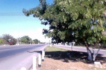 Renta Terreno Mérida Calle 59 | 1.7 Ha en Ciudad Caucel | Ubicación Premium