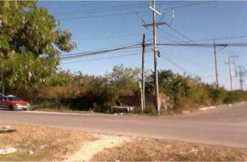 Renta Terreno Mérida Calle 59 | 1.7 Ha en Ciudad Caucel | Ubicación Premium