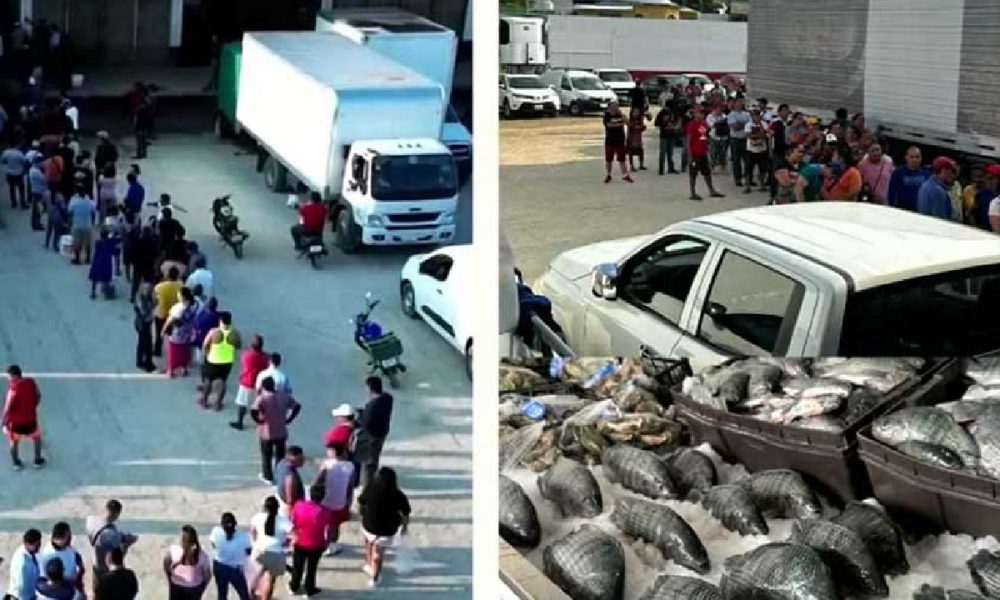 En dos semanas vuelve “Pescando Vida” a la Central de Abasto de Villahermosa