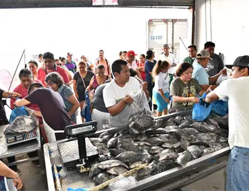 No tienen vergüenza: PRD acusa que gobierno estatal hace negocio con venta de pescado