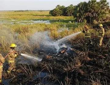 Nuevo incendio amenaza los Pantanos de Centla