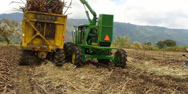 Logra zafra 109 mil toneladas de azúcar