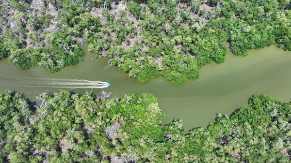 Declaran Área Natural Protegida estatal a la Reserva Ecológica Cinco Lagunas en Comalcalco