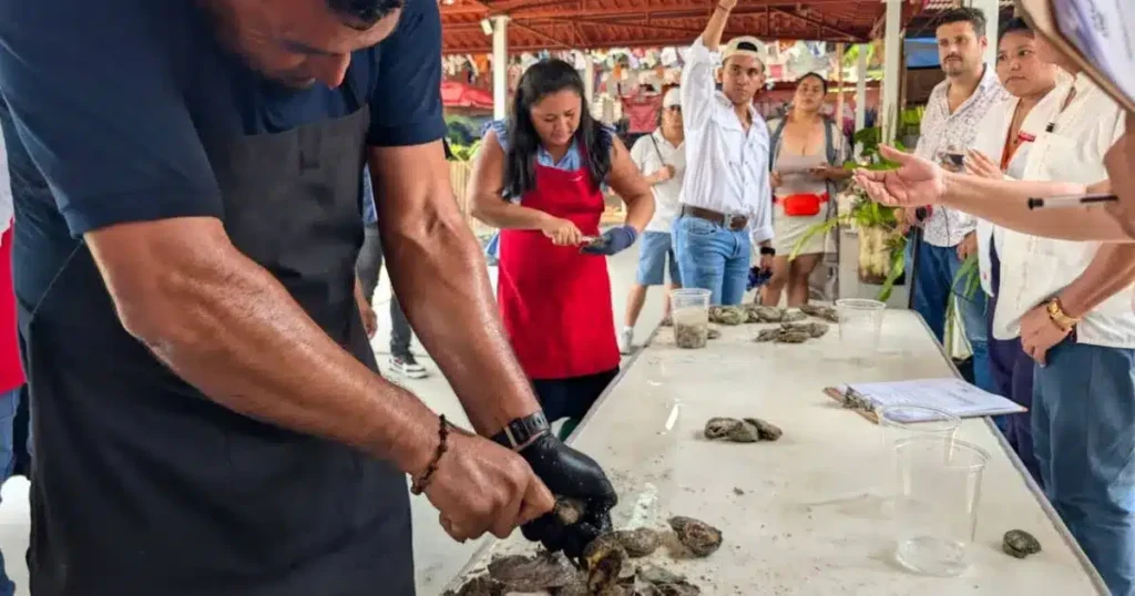 Concurso de desconche reúne a productores ostrícolas en la Feria Tabasco 2026
