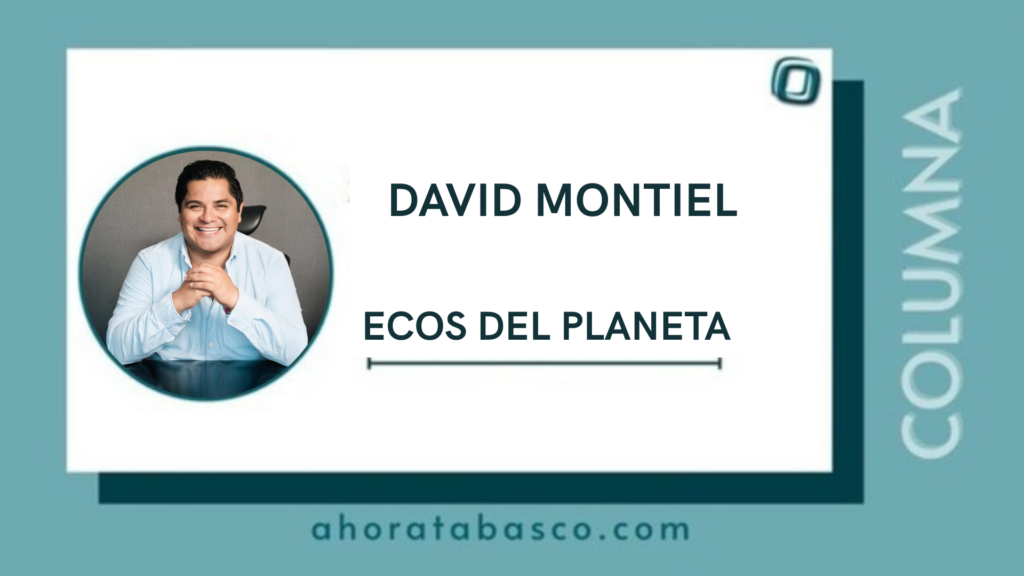 “Plantar un árbol hoy, asegura esperanza para el futuro”