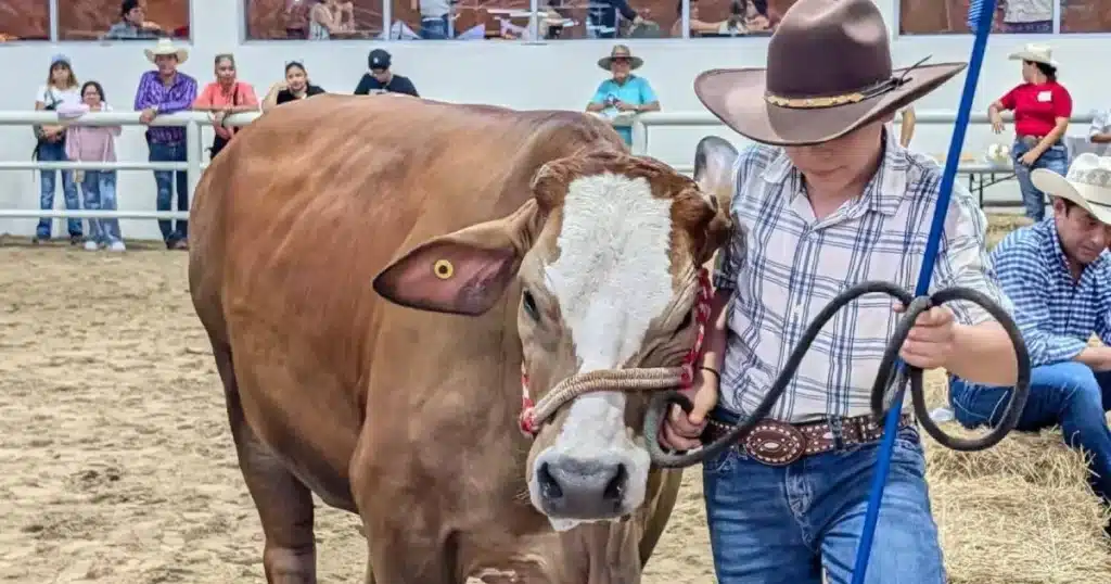 El futuro ganadero brilla en la Feria Tabasco 2026