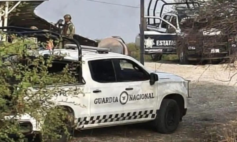 Avanza investigación en Tehuitzingo: detienen a dos hermanos más