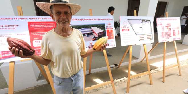 Cacao tabasqueño será punta de lanza con la construcción de fábrica de Chocolate Bienestar