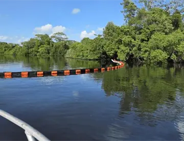 Producción ostrícola sigue pese a contaminación de Pemex en laguna de Mecoacán: Sedap