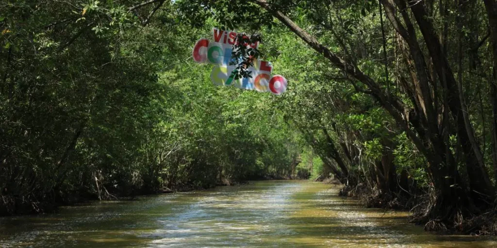 Área Natural Protegida: Reserva Ecológica Cinco Lagunas