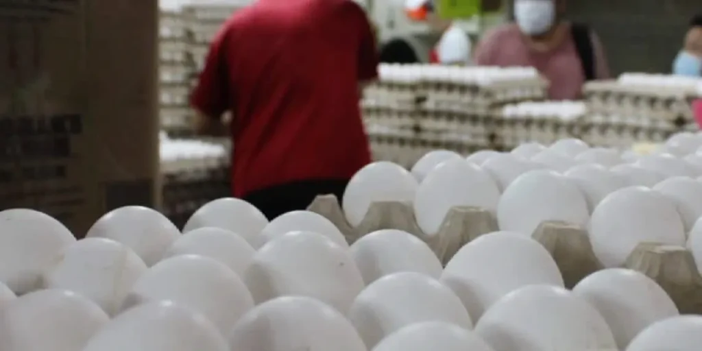 a la baja canasta básica en tabasco