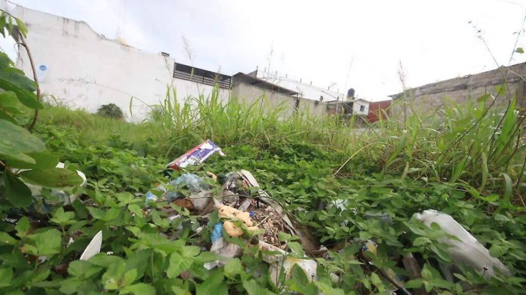 Multas de hasta 17 mil pesos a quienes no limpien sus terrenos en Villahermosa