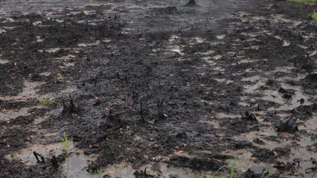 ASEA concluye 12 investigaciones sin sanciones por derrames petroleros