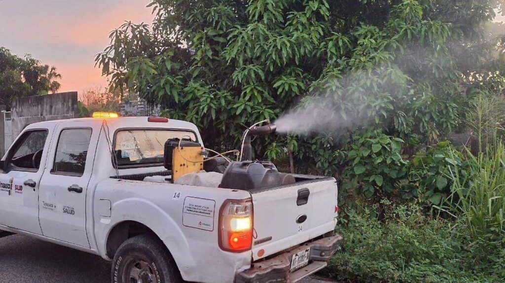 Dengue grave no avanza en Tabasco; se mantiene en siete casos