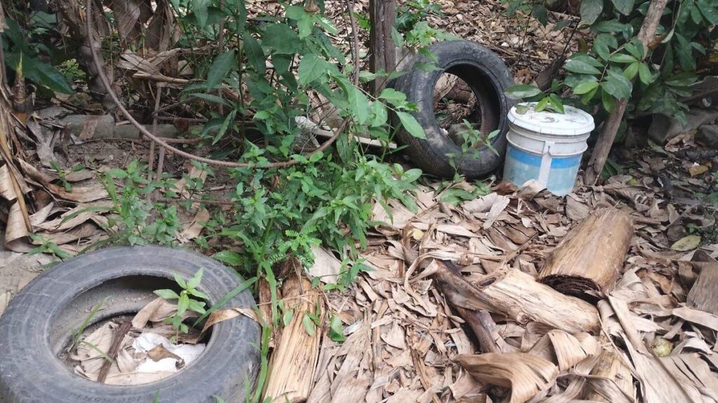 Disminuye dengue en Tabasco; cuatro municipios registran la mayor incidencia