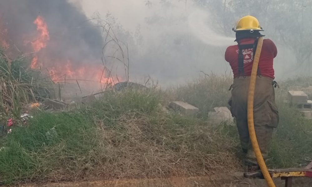 Prevén intenso calor y mayor peligro de incendios forestales en Tabasco