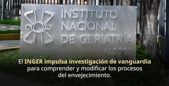Laboratorio de Biología del Envejecimiento desarrolla estrategias para envejecer con mayor bienestar