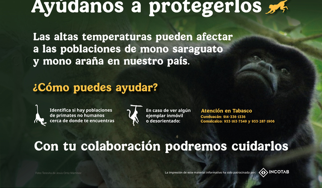 Sector ambiental federal activa protocolo de atención a primates