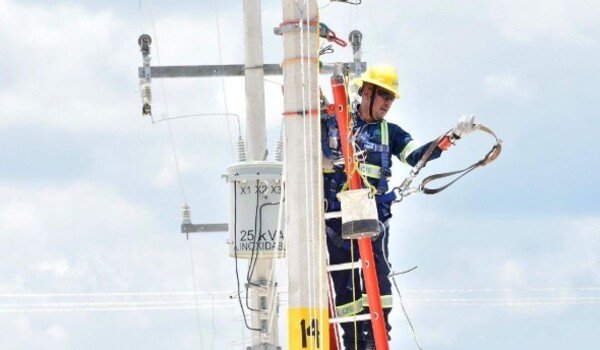 Caída de árbol deja sin luz a comunidades de Centla