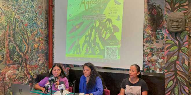 Lanza Permea convocatoria para la 3ra emisión de «Agroselva Escuela Viva» en Tabasco
