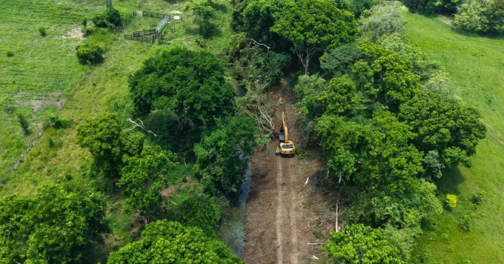 Rescatan el campo en la Chontalpa