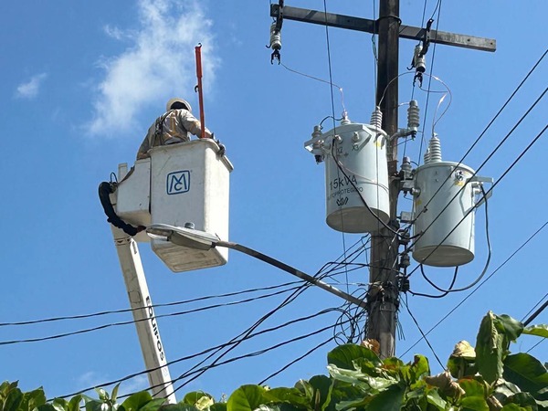 Atienden brigadas del Gobierno de Tabasco zonas afectadas por suministro eléctrico